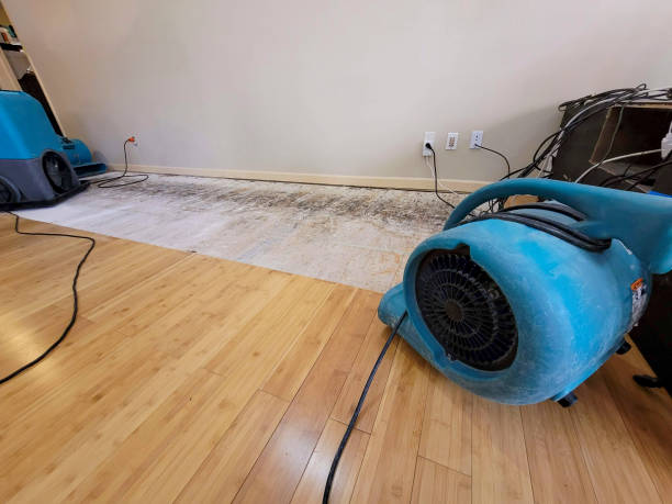Professional Water Removal technician working in Highland, MD
